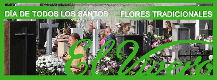 El día de todos los Santos. Flores tradicionales.