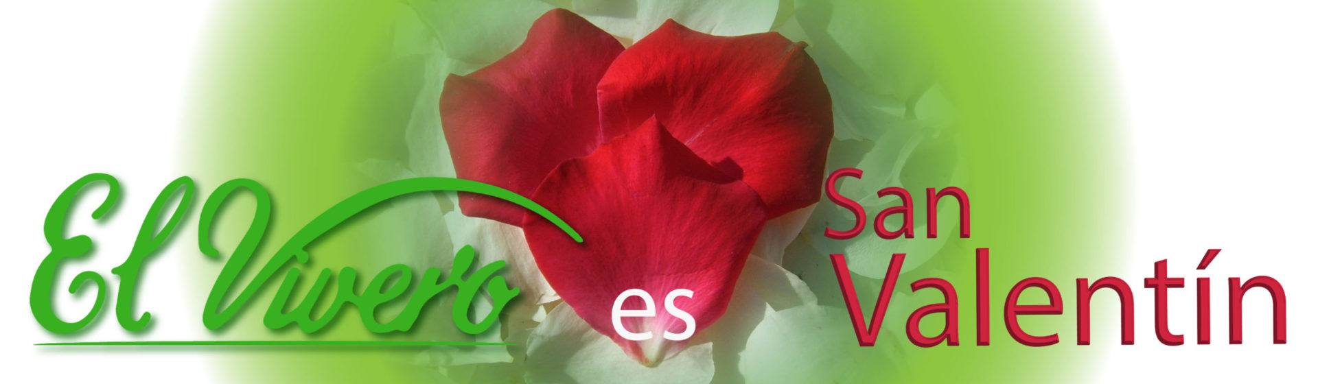 BANNER-LANDDING-SANVALENTIN-2-02 BANNER-LANDDING-SANVALENTIN-2-02